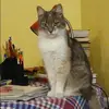 Отзыв от Ксения Морозова